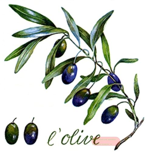 Bild von Servietten 33x33cm, A.L.C. l'Olive - VE 6