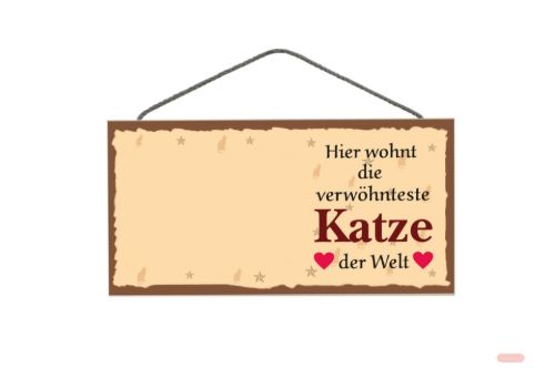 Bild von Schilder Haustier 25x12,5cm, Sperrholz 8mm mit Kordel, wohnt Katze - VE 3