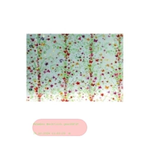 Bild von Schraubalbum Flower red 30x25cm, 40 S.weiss