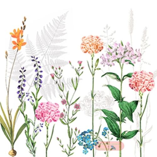 Bild von Servietten 33x33cm, A.L.C. Botanica - VE 6