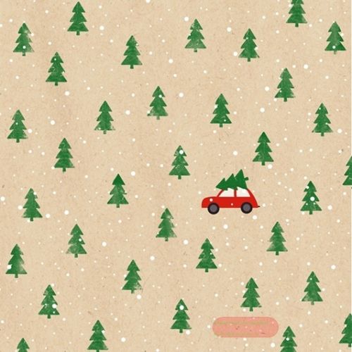 Bild von Servietten 33x33cm, By Nature Little red Car natur - VE 6