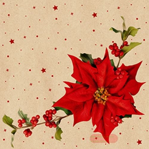 Bild von Servietten 33x33cm, By Nature Poinsettia - VE 6