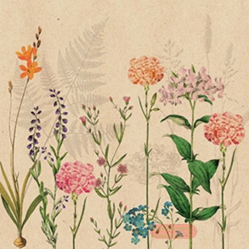 Bild von Servietten 33x33cm, By Nature Botanica - VE 6