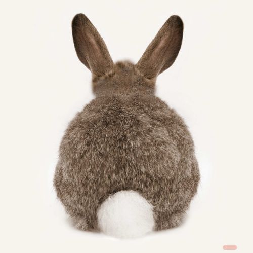 Bild von Servietten 33x33cm, Atelier Bunny Butt - VE 6