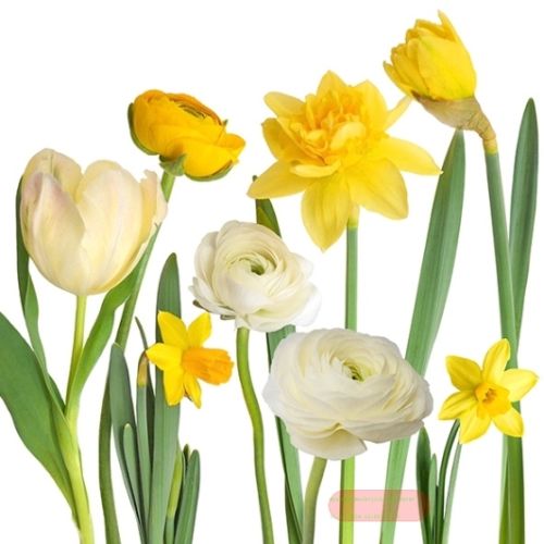 Bild von Servietten 33x33cm, Atelier Narzisse & Co. - VE 6