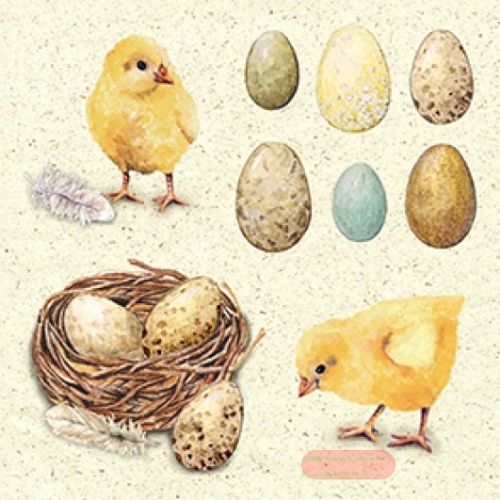 Bild von Servietten 33x33cm, Atelier Naturküken - VE 6