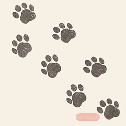 Bild von Servietten 33x33cm, Atelier Paws - VE 6