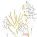 Bild von Servietten 33x33cm, Avantgarde Simple Elegance gold - VE 6