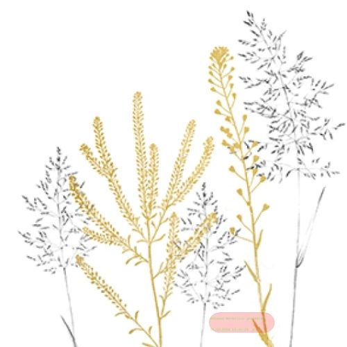 Bild von Servietten 33x33cm, Avantgarde Simple Elegance gold - VE 6