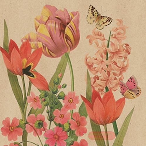 Bild von Servietten 33x33cm, By Nature Charlotte - VE 6