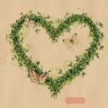 Bild von Servietten 33x33cm, By Nature Green Dream - VE 6