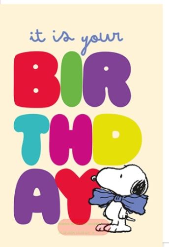 Bild von Snoopy Karte Geburtstag PK 399 - VE 6