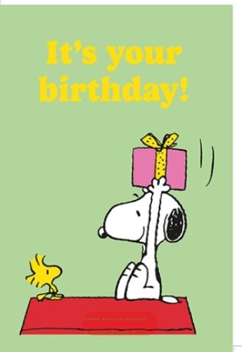 Bild von Snoopy Karte Geburtstag PK 399 - VE 6