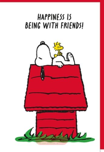 Bild von Snoopy Karte Glück PK 399 - VE 6