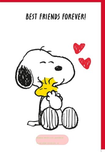 Bild von Snoopy Karte Glück PK 399 - VE 6