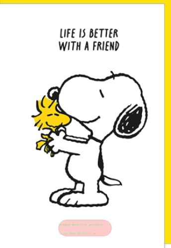 Bild von Snoopy Karte Glück PK 399 - VE 6