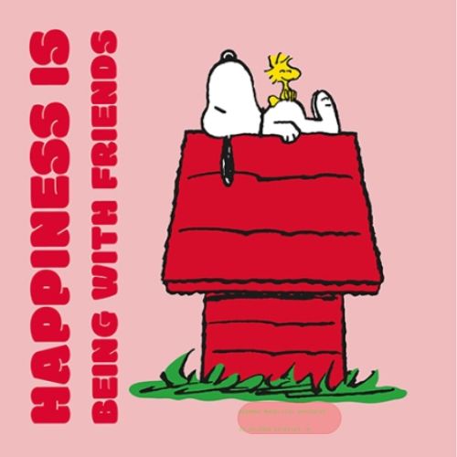Bild von Servietten 33x33cm, Snoopy Happiness - VE 6