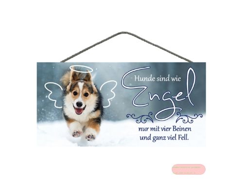 Bild von Spruchschild 25x12,5cm, Sperrholz 8mm mit Kordel, Hunde sind wie Engel - VE 3
