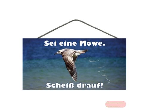 Bild von Spruchschild 25x12,5cm, Sperrholz 8mm mit Kordel, Möwe - VE 3