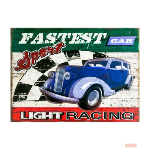 Bild von Wall Art Metall/Holz Fastest 51,5x38x1,5cm, YY282