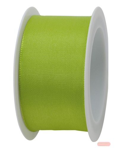 Bild von Taftband mit Drahtkante, 40mm x 2m, hellgrün - VE 6