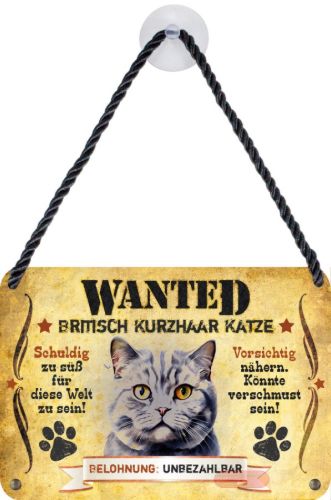 Bild von Wanted Haustierschilder, 16,5x11,5cm, Blechschild 3D, Britische Kurzhaar Katze - VE 3