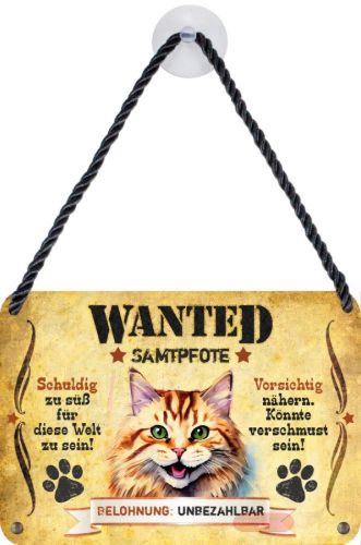 Bild von Wanted Haustierschilder, 16,5x11,5cm, Blechschild 3D, Katze Ingwer - VE 3