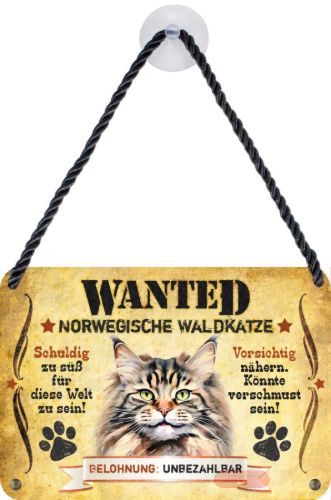 Bild von Wanted Haustierschilder, 16,5x11,5cm, Blechschild 3D, Norwegische Wald-Katze - VE 3
