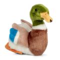 Bild von ANIMIGOS WORLD OF NATURE MALLARD DUCK, Ente, 23cm - VE 3