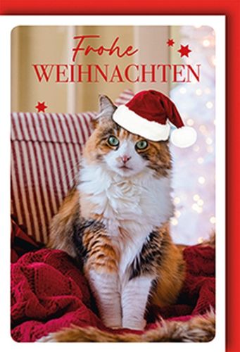 Bild von Karte Midi Weihnachten PK 199 - VE 10