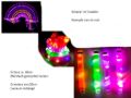 Bild von LIGHT UP FIDGET POP TUBES ASSORTED, mehrfarbig gemischt mit LED, Display - VE 24