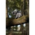 Bild von ANIMIGOS WORLD OF NATURE  KOALA AND BABY, Koala mit Baby, 28cm - VE 2