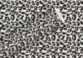 Bild von Geschenkpapier Rollen 2m x 70cm, Leo graphit - VE 5