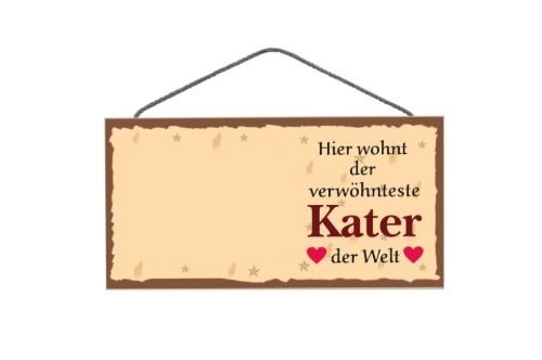 Bild von Schilder Haustier 25x12,5cm, Sperrholz 8mm mit Kordel, wohnt Kater - VE 3