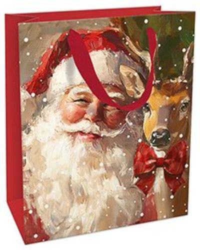 Bild von Geschenktasche matt, 18x21x8cm, Dreamteam - VE 8