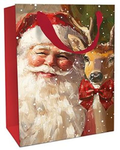 Bild von Geschenktasche matt, 26x36x13cm, Dreamteam - VE 8