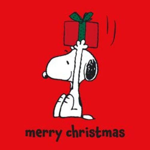 Bild von Servietten 33x33cm, Snoopy Big Present rot  - VE 6