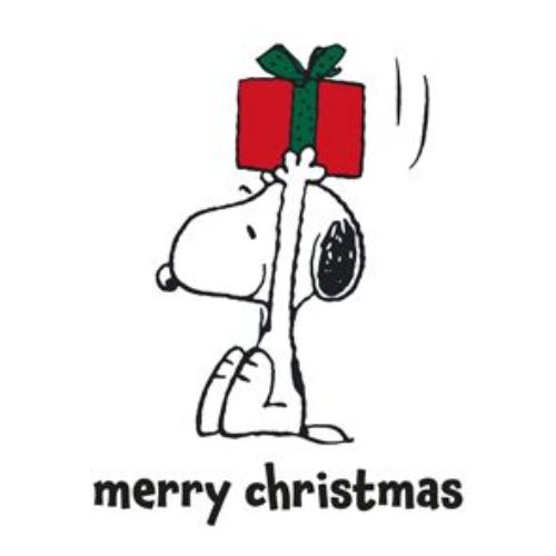 Bild von Servietten 33x33cm, Snoopy Big Present weiss - VE 6