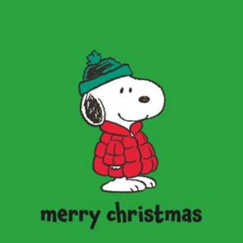 Bild von Servietten 33x33cm, Snoopy Cool gruen - VE 6