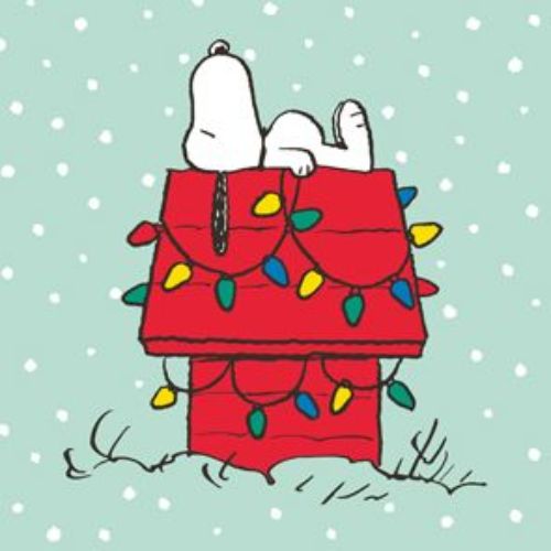 Bild von Servietten 33x33cm, Snoopy X-mas Home mint - VE 6
