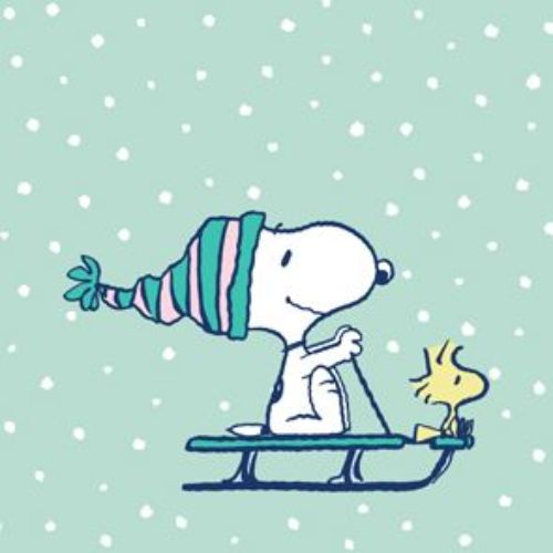 Bild von Servietten 33x33cm, Winter Snoopy - VE 6