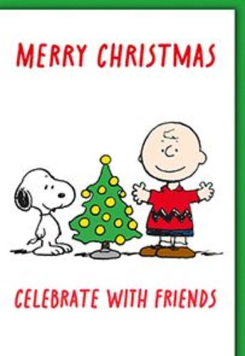 Bild von Snoopy Karte Weihnachten PK 399 - VE 6
