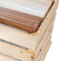 Bild von Rahmenbox mit Rahmen für diverse Bildformate, MDF, Rio 45 Stück gemäss Katalog (SR)